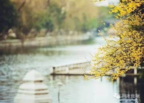 【上海高校篇】周末漫步于校园,转角遇见