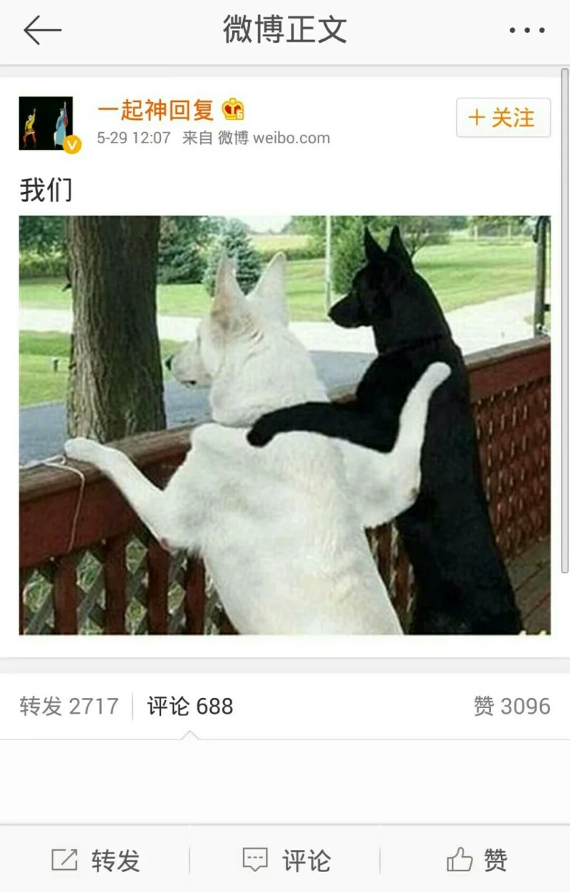 【当被"我们"刷屏】今天单身狗竟并未受到成吨伤害!