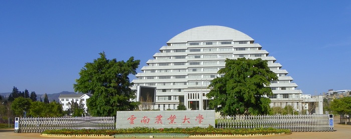别!报考云南农业大学!"】又是一年毕业季,来自学姐学长们的忠告!