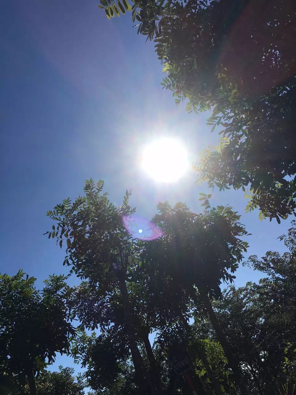 然后他在冬天中了暑 心疼我大海师,心疼我大洋村儿 艳阳高照,晴空万里