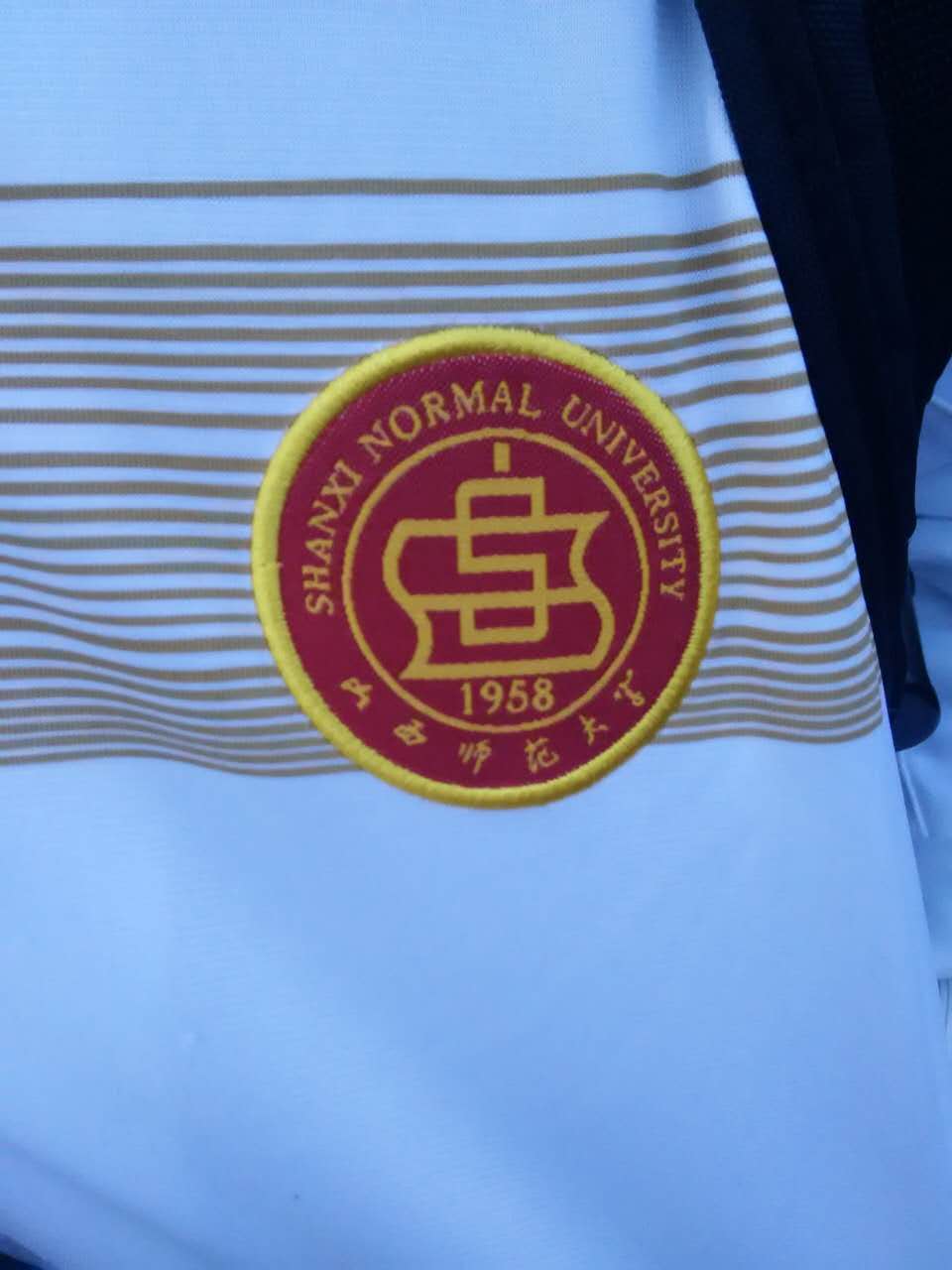 蛇蛇觉得我们的校服其实设计的还算蛮好看的,胸口上绣着我们的校徽,一