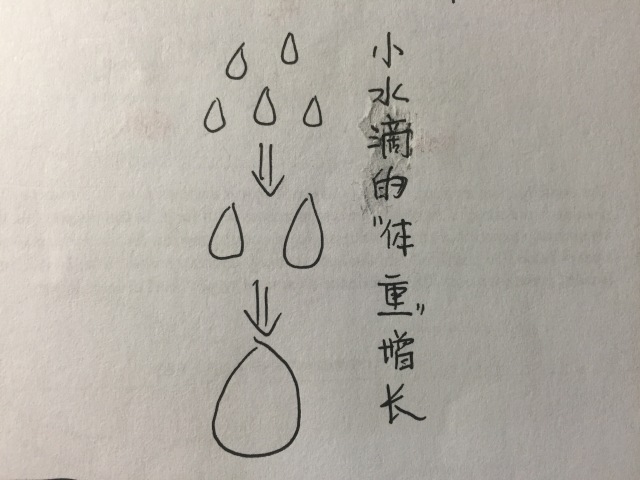 首页> 蓝鲸说  "小水滴增长"--小的水滴不停碰并,变成"中"水滴,再变成